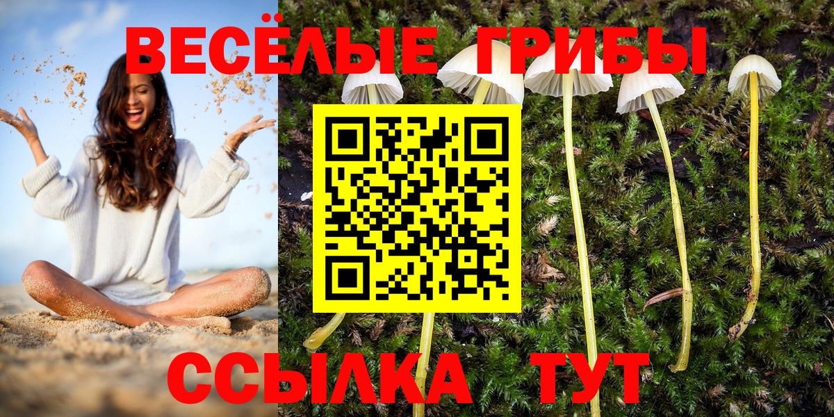 наркошоп  Вход с VPN  Городец  Псилоцибиновые грибы MAGIC MUSHROOMS 