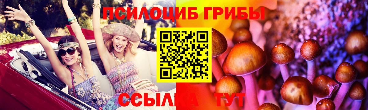 Псилоцибиновые грибы мицелий Городец